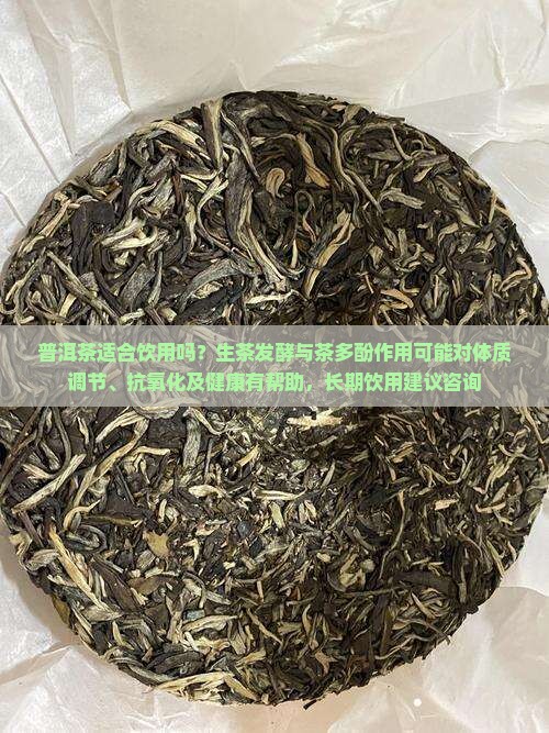 普洱茶适合饮用吗