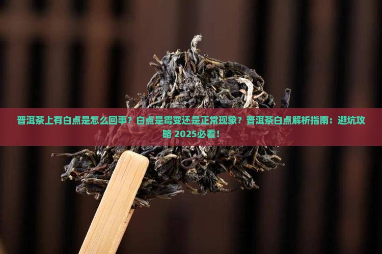 普洱茶上有白点是怎么回事