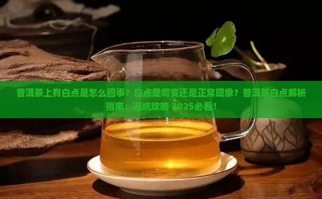 普洱茶上有白点是怎么回事