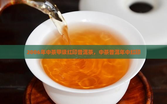 2006年中茶甲级红印