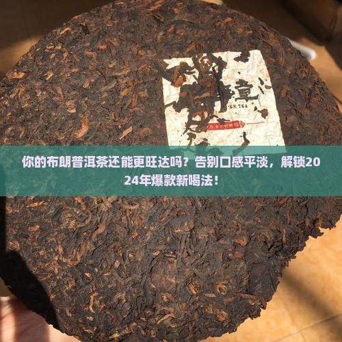 布朗普洱茶汇旺达