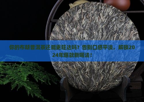 布朗普洱茶汇旺达