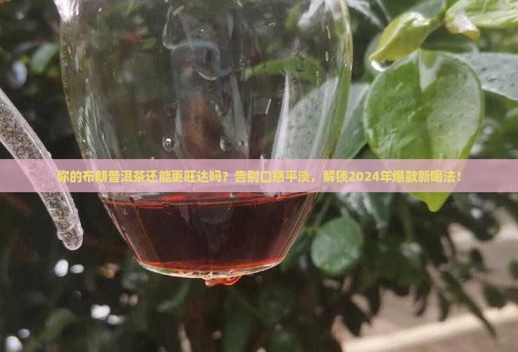 布朗普洱茶汇旺达