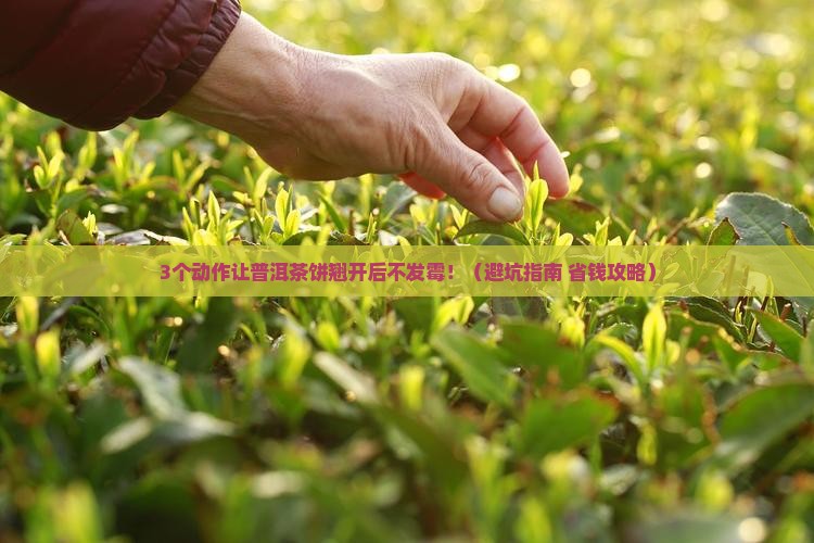 普洱茶饼翘开之后怎么存放