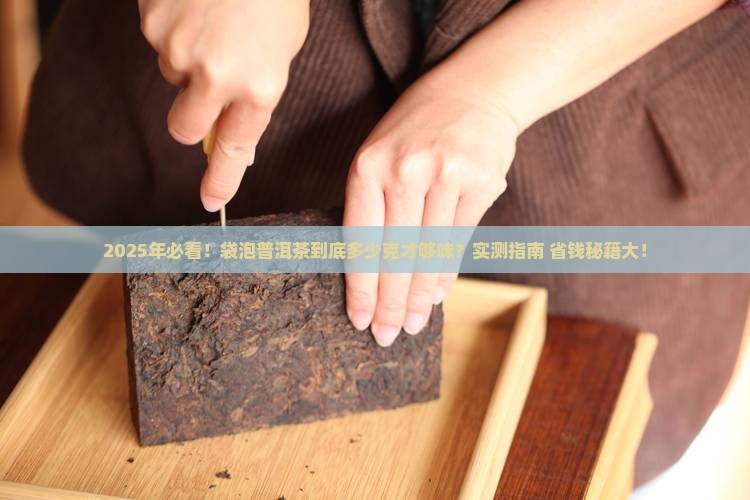 袋装冲泡普洱茶多少克最好