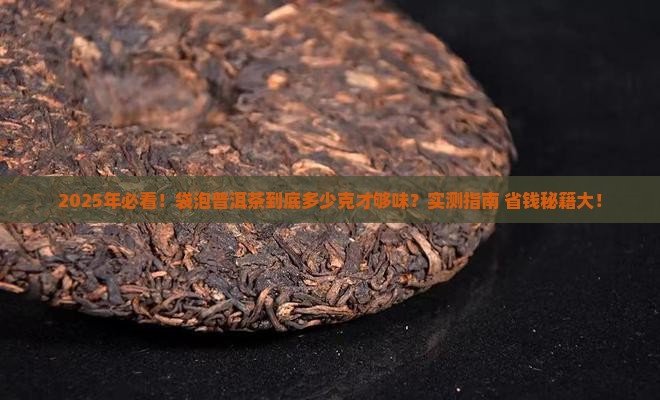 袋装冲泡普洱茶多少克最好