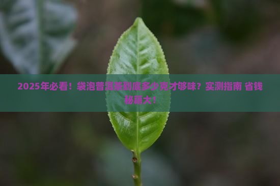 袋装冲泡普洱茶多少克最好