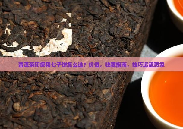 普洱茶印级和七子饼