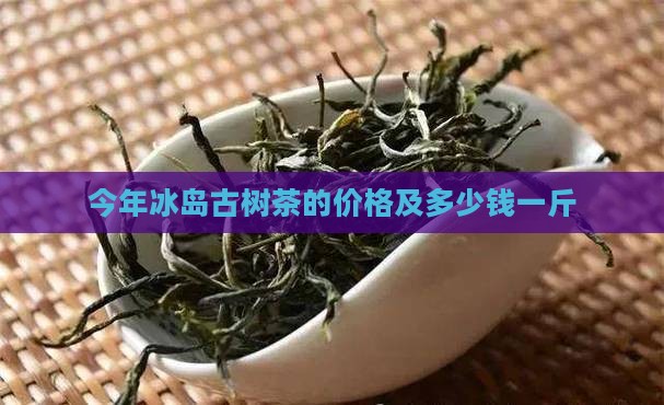 今年冰岛古树茶的价格