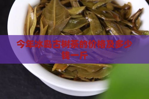 今年冰岛古树茶的价格