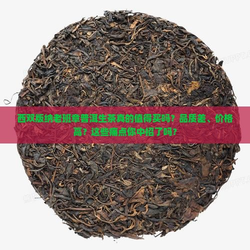 西双版纳老班章普洱生茶