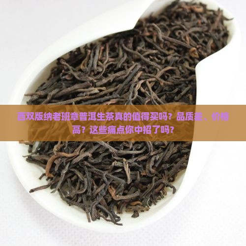 西双版纳老班章普洱生茶