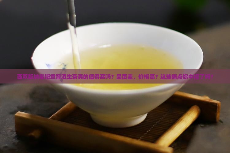 西双版纳老班章普洱生茶