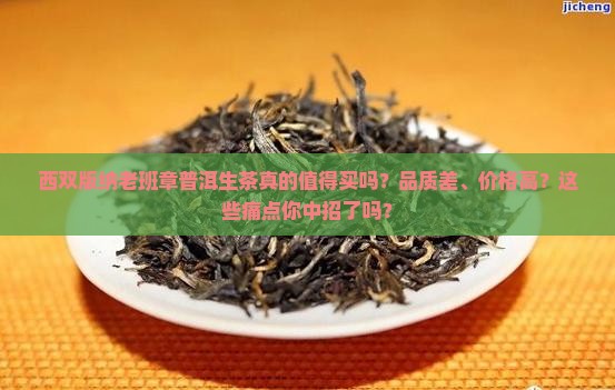 西双版纳老班章普洱生茶