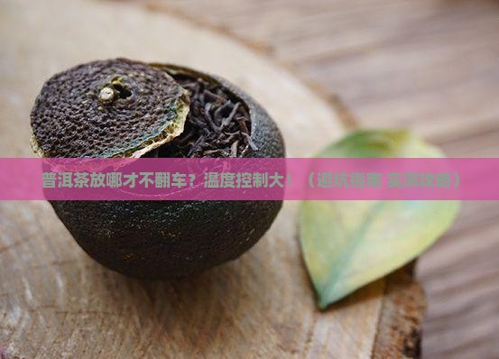 是喝普洱茶存放的温度
