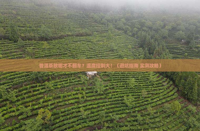是喝普洱茶存放的温度