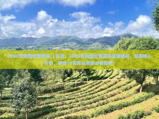 2005年凤凰坨普洱茶
