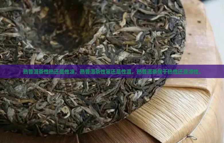 熟普洱茶性热还是性凉