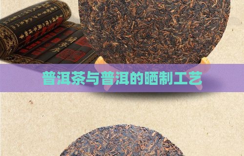 普洱茶不炒只晒