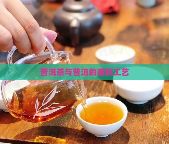 普洱茶不炒只晒