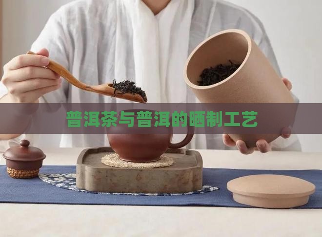 普洱茶不炒只晒