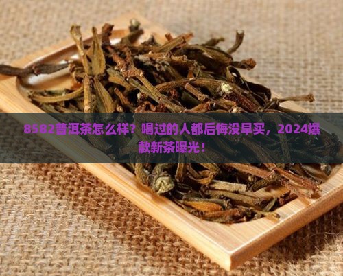 8582普洱茶怎么样