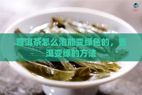 普洱茶怎么泡能变绿色的