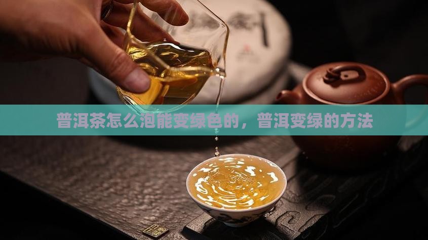普洱茶怎么泡能变绿色的