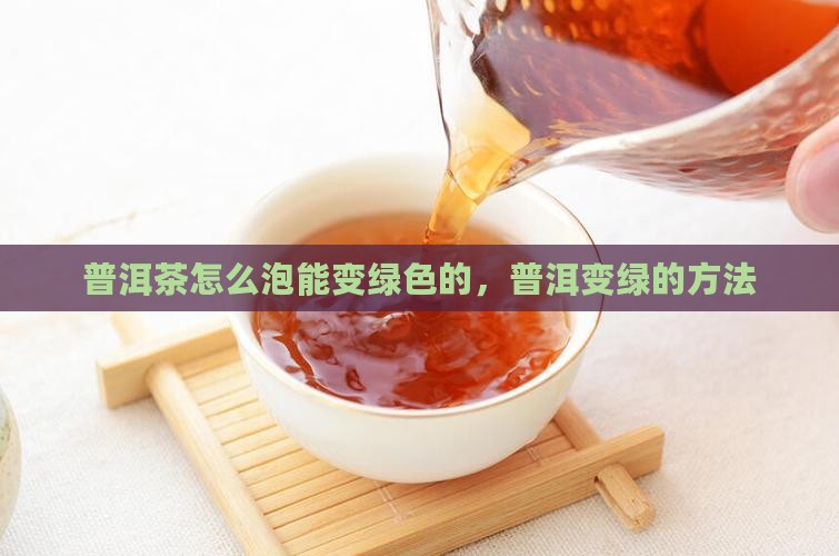 普洱茶怎么泡能变绿色的