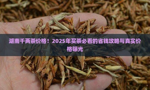 湖南千两茶价格
