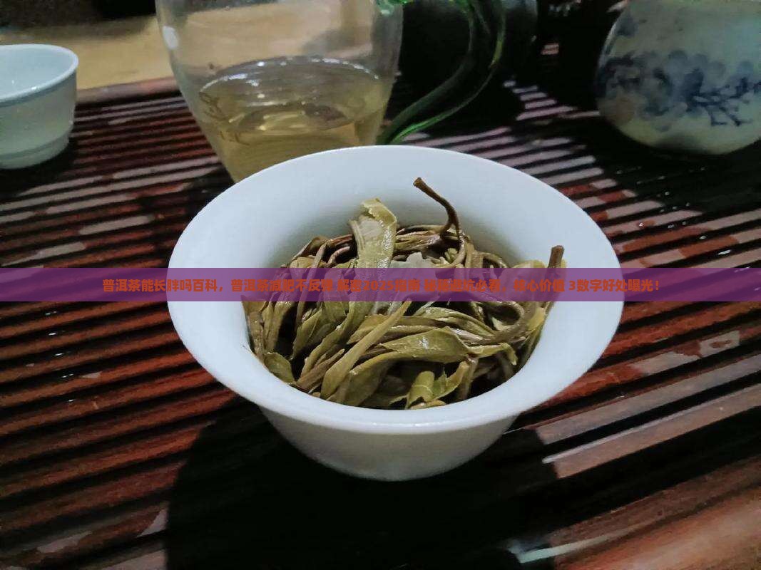普洱茶能长胖吗百科
