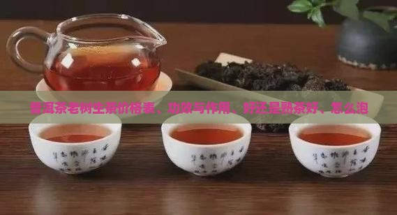 普洱茶老树生茶