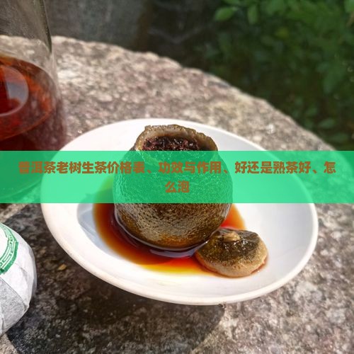 普洱茶老树生茶