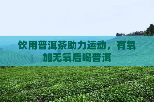 有氧加无氧后喝普洱茶
