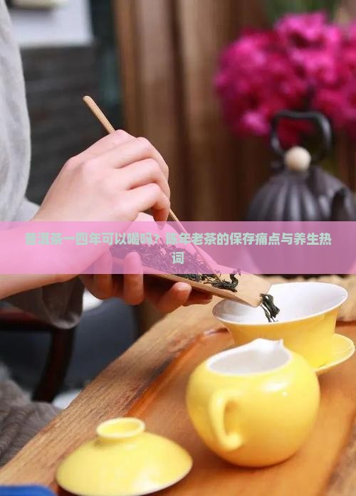 普洱茶一四年可以喝吗