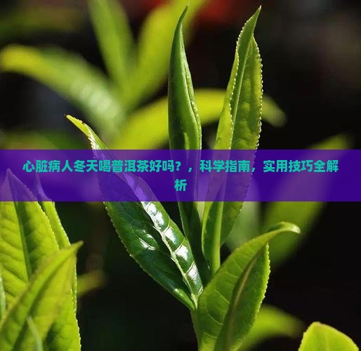 心脏病人冬天喝普洱茶好吗