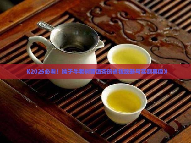 孺子牛老树普洱茶