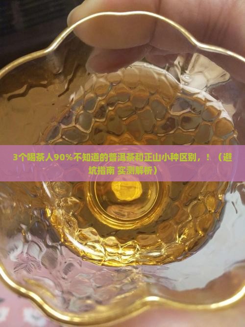 普洱茶和正山小种区别