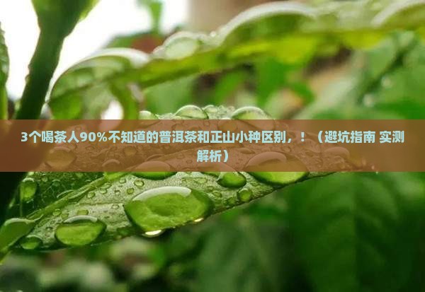 普洱茶和正山小种区别