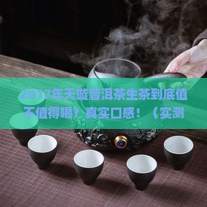 2017年天璇普洱茶生茶