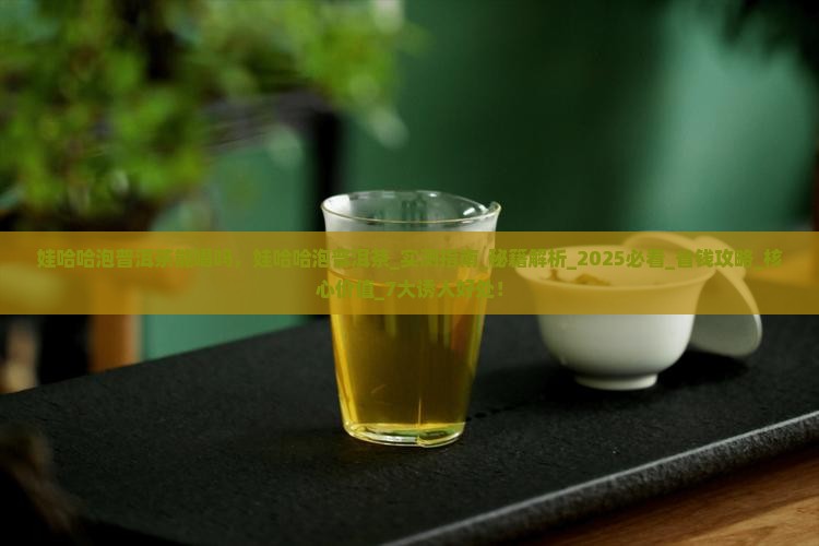 娃哈哈泡普洱茶能喝吗
