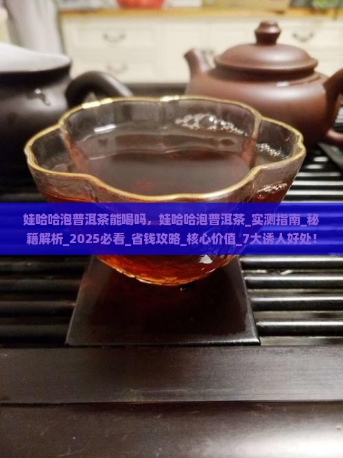 娃哈哈泡普洱茶能喝吗