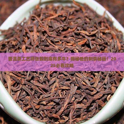 普洱茶工艺师张毅