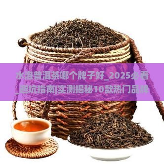 水泡普洱茶哪个牌子好