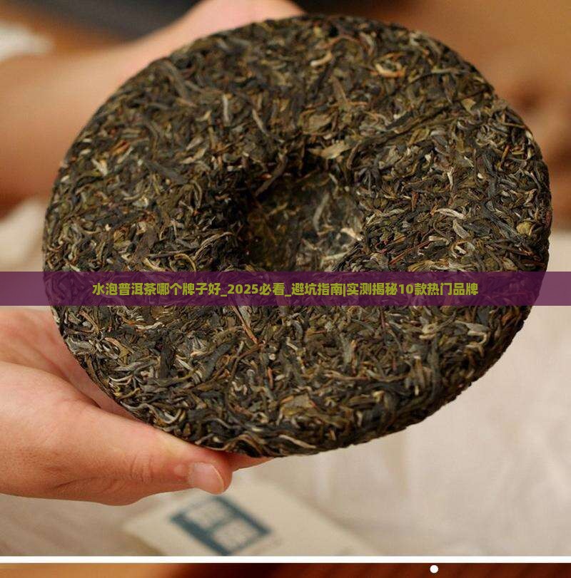 水泡普洱茶哪个牌子好