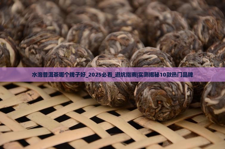 水泡普洱茶哪个牌子好