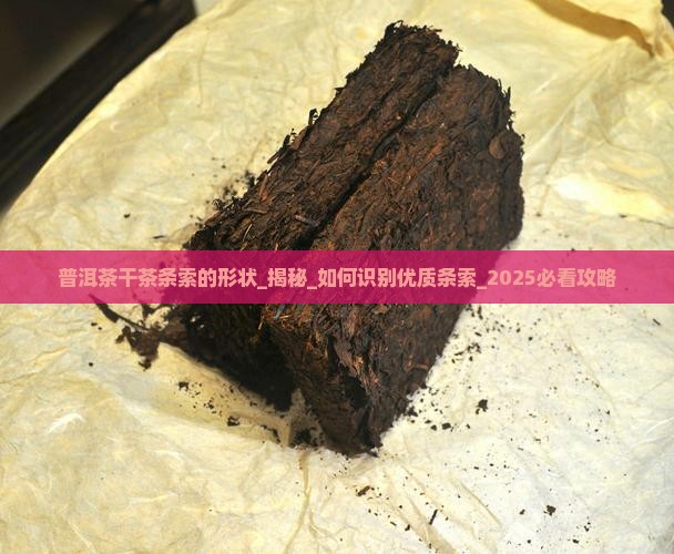 普洱茶干茶条索的形状
