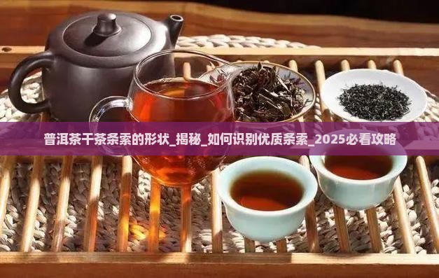 普洱茶干茶条索的形状
