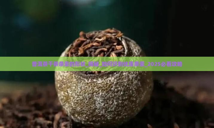 普洱茶干茶条索的形状