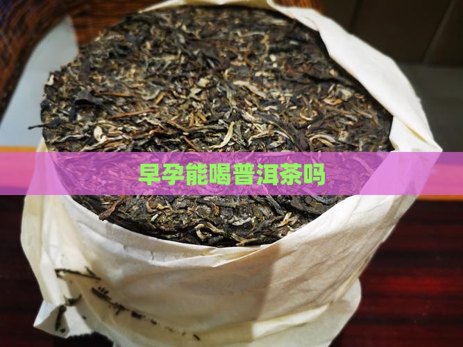 早孕能喝普洱茶吗